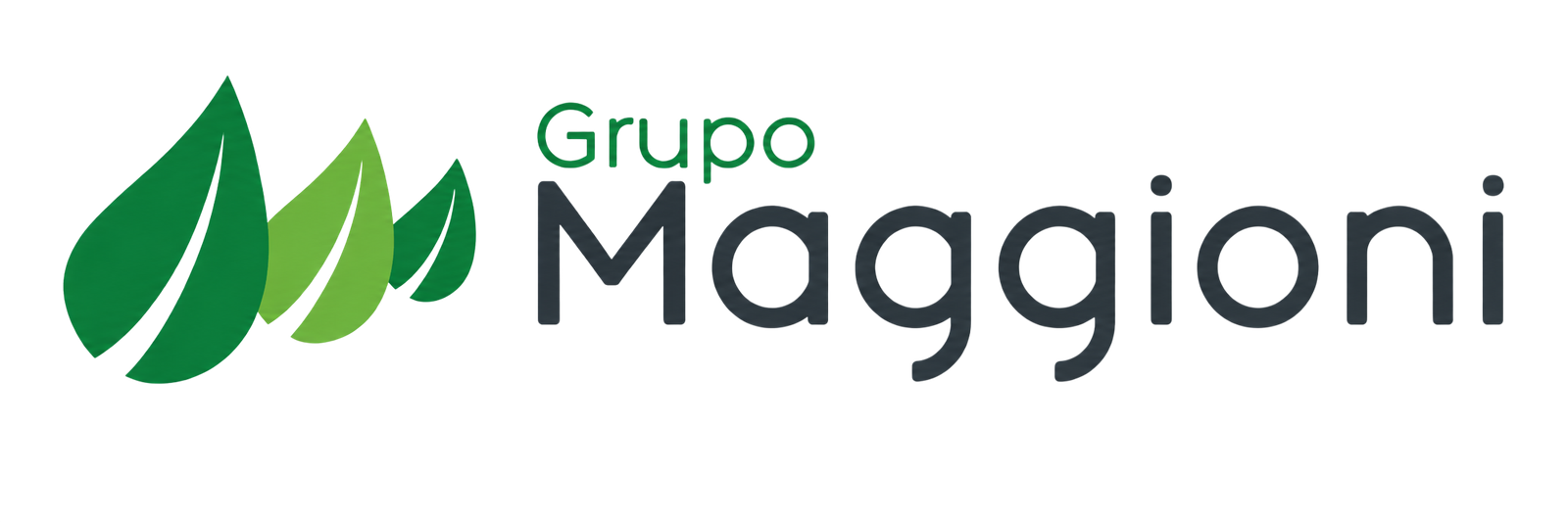 Grupo Maggioni